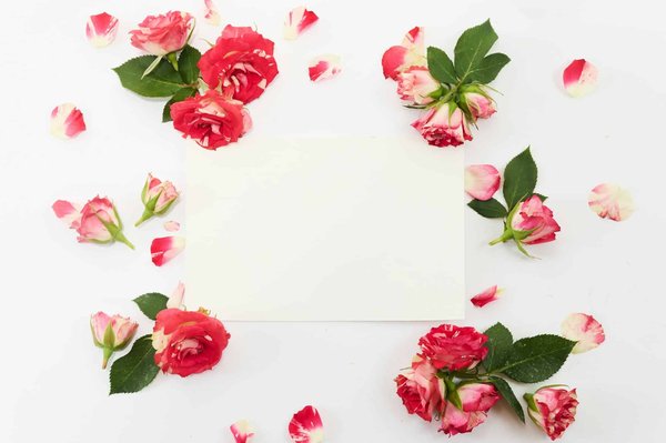 Quels sont les meilleurs frameworks pour le développement rapide d'applications mobiles cross-platform en 2023?